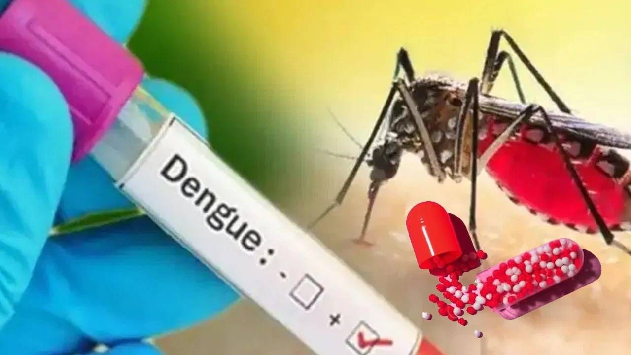 Dengue Death: পুজোর আনন্দ কাটতে না কাটতেই দুঃসংবাদ, ডেঙ্গি আক্রান্ত মহিলার মৃত্যু