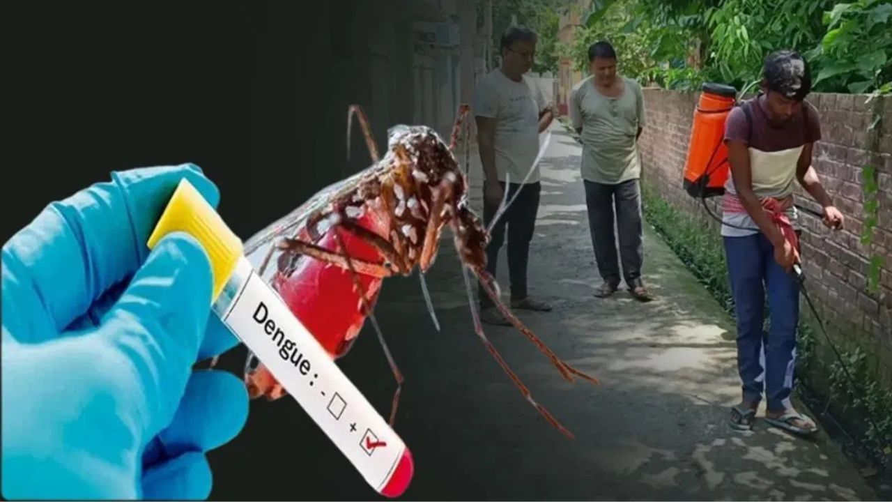 Dengue Situation: আরও ২ ডেঙ্গি আক্রান্তের মৃত্যু! পুজোর আগে বাড়ছে উদ্বেগ