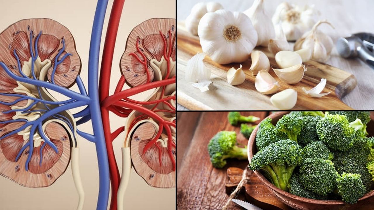 Kidney prevention foods: এই ৫ সবজি নিয়ম করে খেলে কিডনিতে আটকে থাকা সব ময়লা বেরিয়ে যাবে, হবে না স্টোনও Kidney prevention foods: এই ৫ সবজি নিয়ম করে খেলে কিডনিতে আটকে থাকা সব ময়লা বেরিয়ে যাবে, হবে না স্টোনও