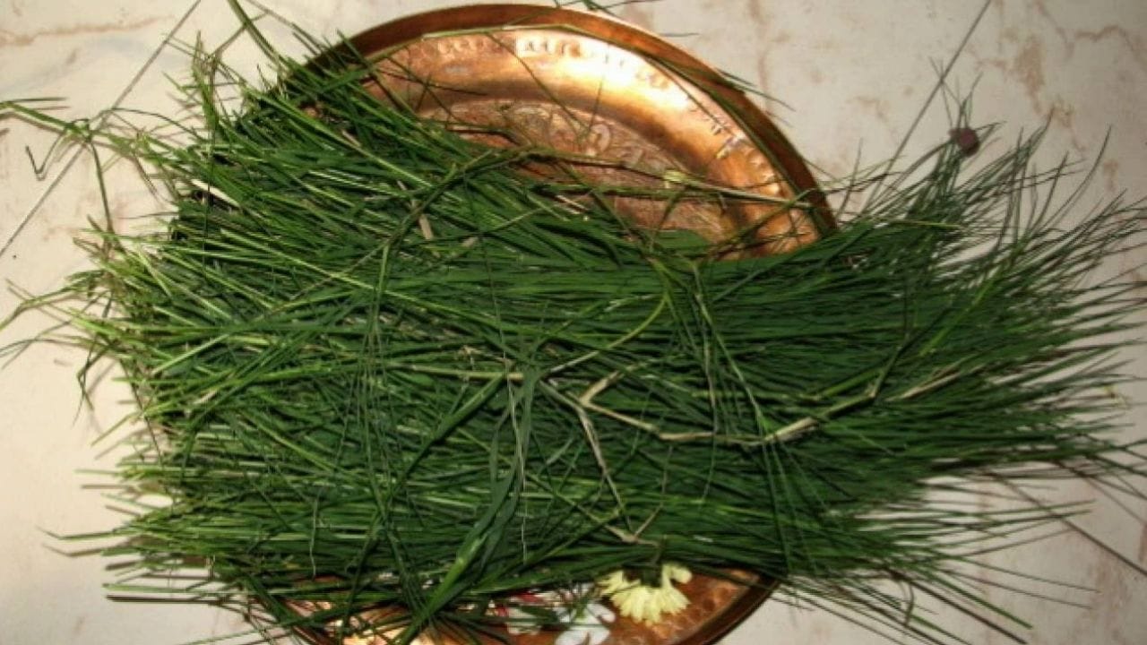 দূর্বা: মহামায়ার পুজোয় দূর্বা ব্যবহার করা উচিত নয় একেবারেই। দূর্বা শুধু দুর্গা নয়, বেশ কিছু দেব-দেবীর বন্দনার সময়ও ব্যবহার করা নিষিদ্ধ। শুধুমাত্র গণেশকে দেওয়া হয়। 