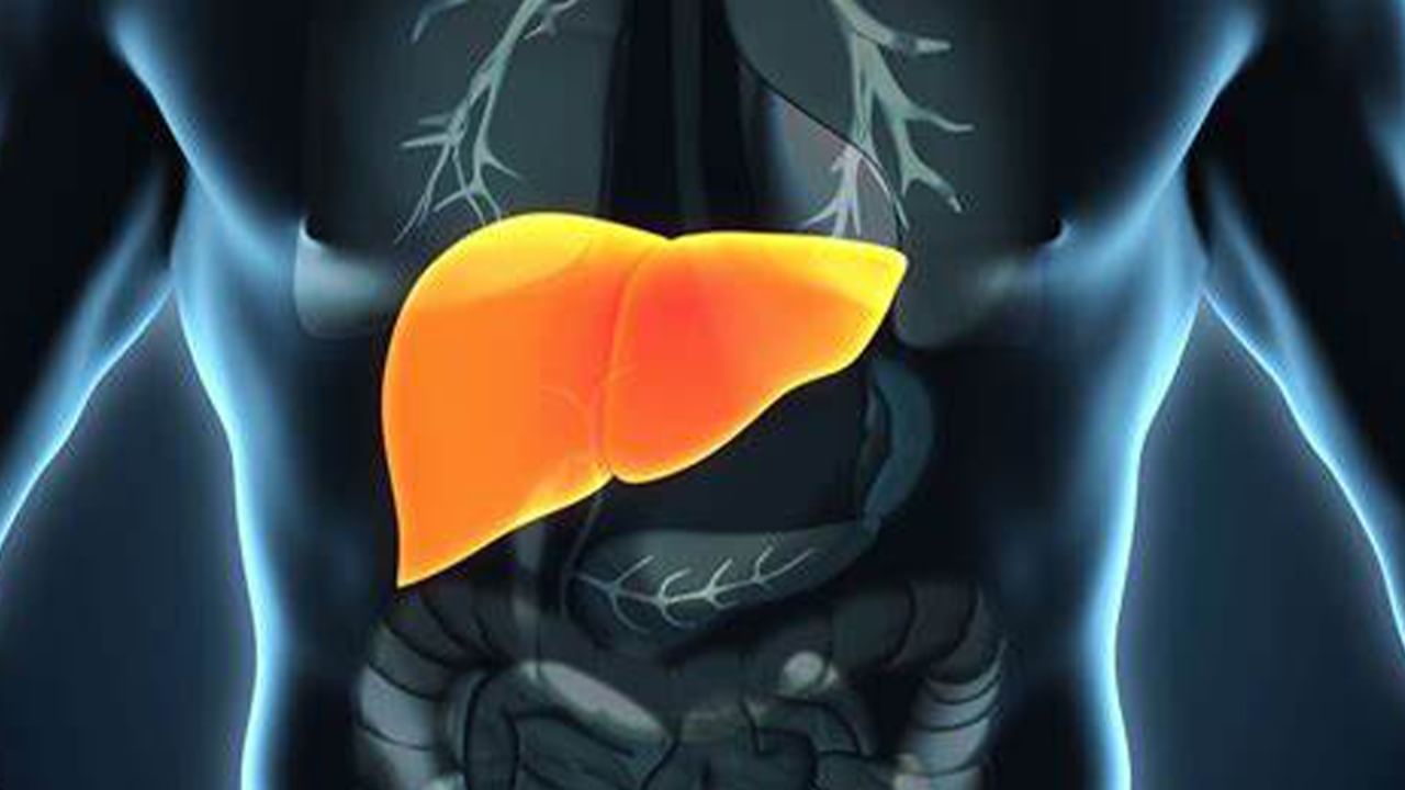 Fatty Liver Symptoms: ফ্যাটি লিভার বুঝবেন কীভাবে?