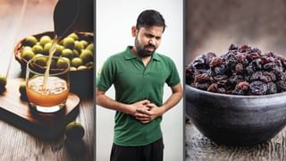 Home Remedies For Cough:  হেমন্তের হিমেল হাওয়ায় বাড়ছে সর্দি-কাশির সমস্যা, সুস্থ থাকতে মানুন এই সব ঘরোয়া টোটকা