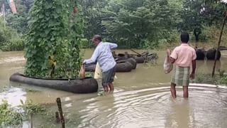 Daspur Flood News: দাসপুরে ‘ম্যান মেড বন্যা’?