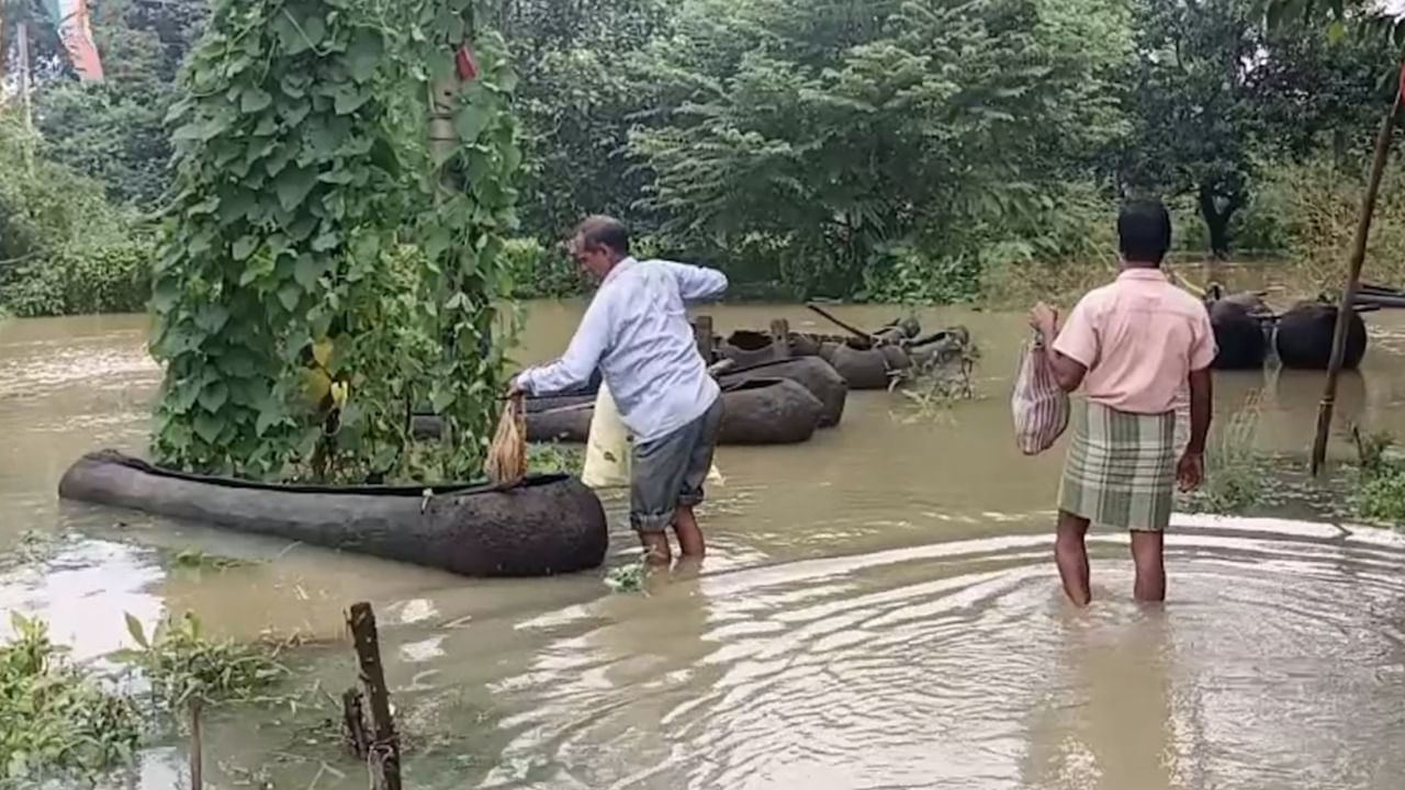 Ghatal Flood News: ঘাটাল মাস্টার প্ল্যান, আজও নেতাদের টোপ!