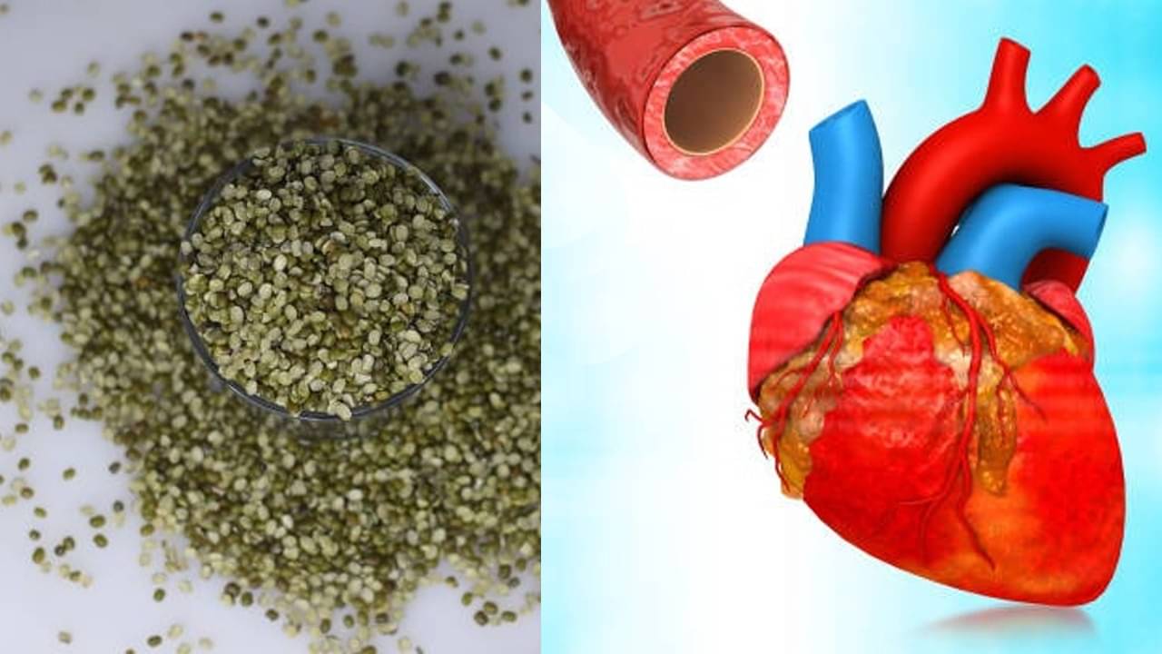 Ayurveda: কোলেস্টেরল-ডায়াবেটিস ঠেকাতে খুবই কার্যকরী ডালের রানি সবুজ মুগ, রোজ কী ভাবে খাবেন