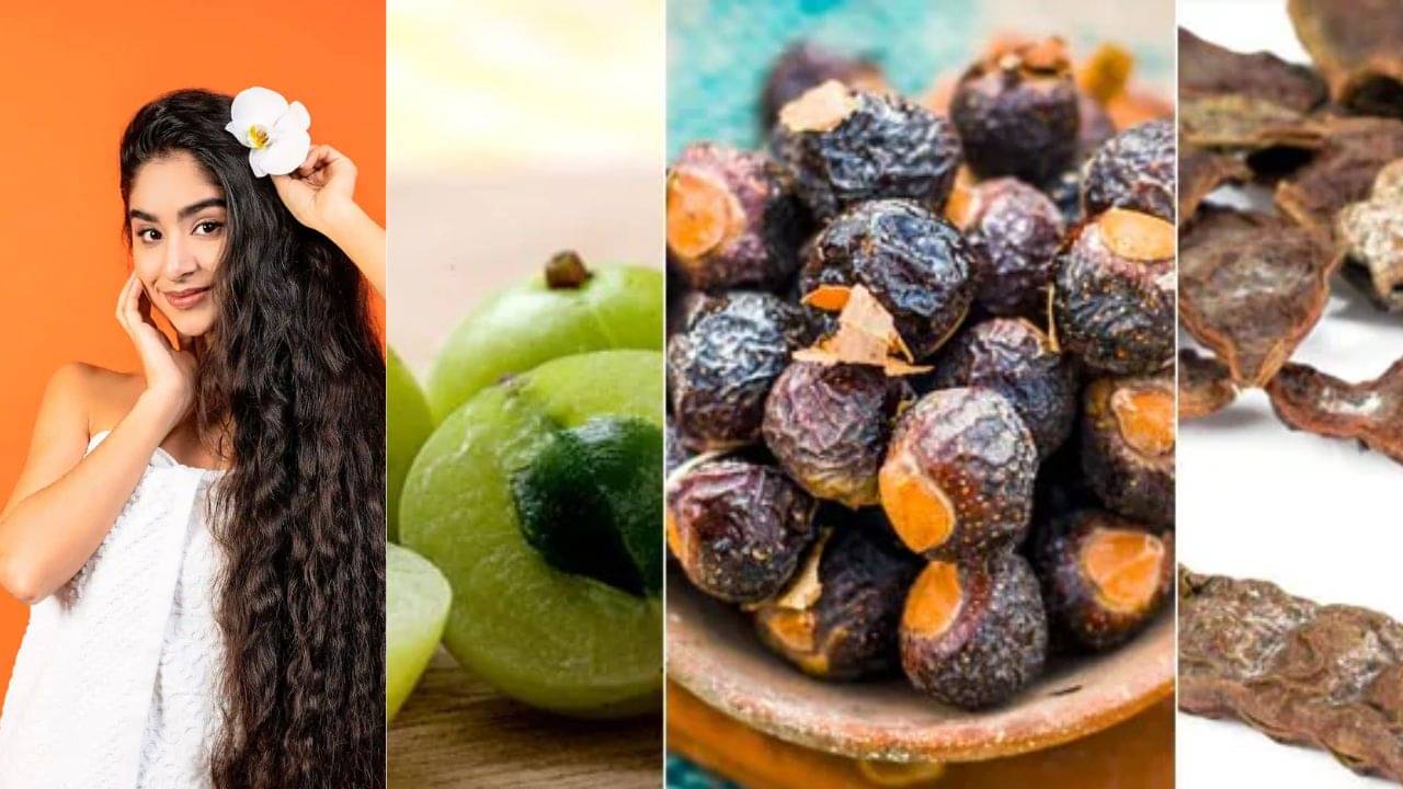 Hairfall Remedies: চুল পড়াকে বাই বলুন আয়ুর্বেদিক গুণে, জানুন উপায়