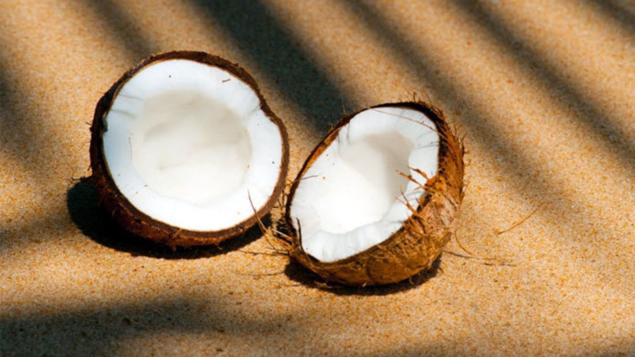 নারকেল পড়ে যাওয়া: জ্যোতিষ শাস্ত্র অনুসারে, যদি কোনও ব্যক্তির হাত থেকে নারকেল পড়ে যায় তাহলে উক্ত ব্যক্তির চাকরি বা কেরিয়ারে বাধা আসতে পারে।