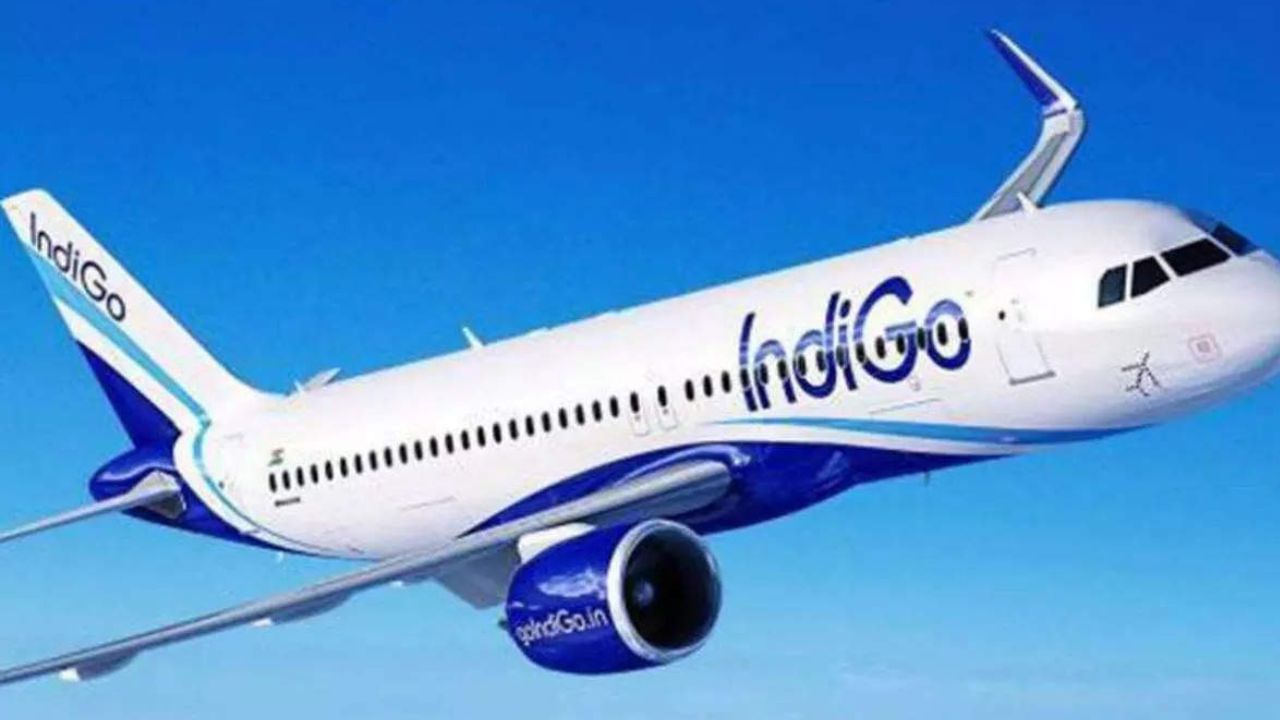 Indigo flight: মাঝ আকাশে তীব্র শ্বাসকষ্ট, ৬ মাসের শিশুর প্রাণ বাঁচালেন ২ চিকিৎসক