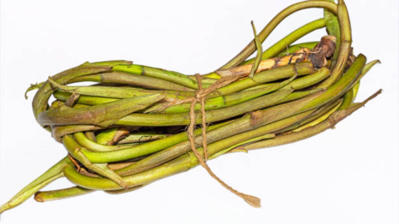 অল্প নুন-হলুদ দিয়ে তা ভেজে নিতে হবে। একটা থালায় আলু তুলে রাখুন। বাকি তেলে তেজপাতা, দারচিনি, শুকনোলঙ্কা, ছোট এলাচ দিয়ে ভেজে নিতে হবে। এবার এর মধ্যে এক চামচ গোটা জিরে দিতে ছোট করে কেটে নেওয়া লতি দিন