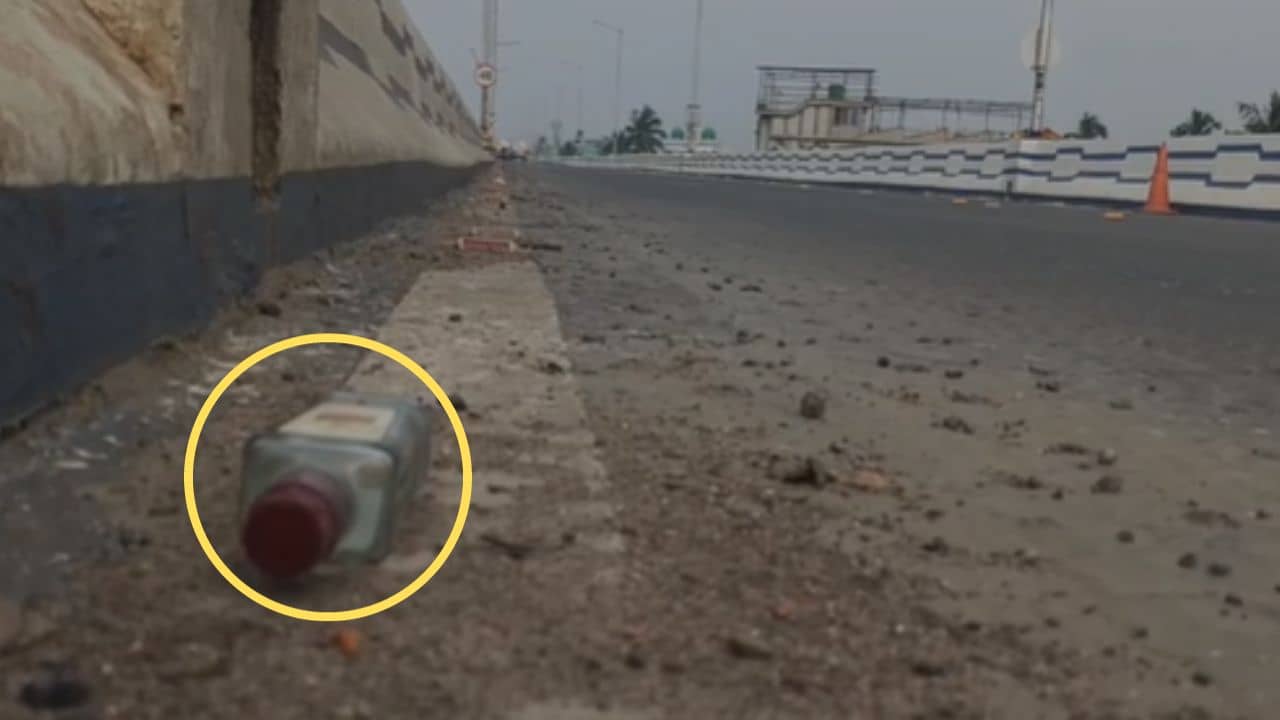 Maheshtala Bridge: পুজো মিটেছে, এখনও রাত হলেই মহেশতলা ব্রিজের ওপর চলছে বেলেল্লাপনা