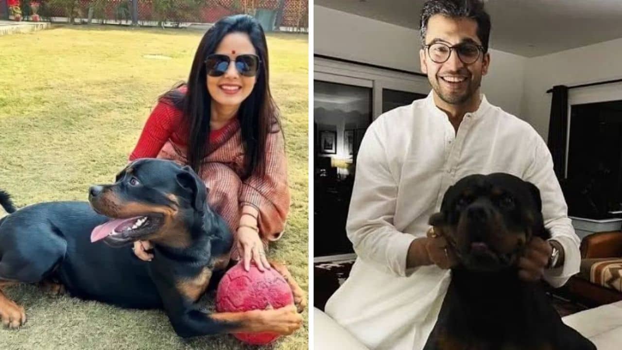 Mahua Moitra Dog: কুকুর অপহরণের অভিযোগ, মহুয়া-বিতর্কে মধ্যমণি পোষ্য হেনরির কী ভূমিকা?