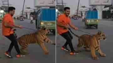 Viral Video: শিকলে বাঁধা বাঘকে নিয়ে রাস্তায় বেরোলেন ব্যক্তি, তারপরই ঘটে গেল...