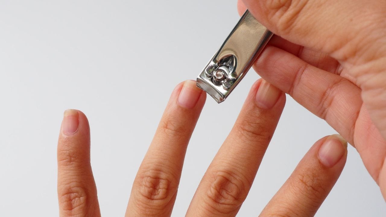 জ্যোতিষবিশেষজ্ঞদের মতে, নবরাত্রির সময়, দুর্গা আরাধনার পাশাপাশি, নখ বা চুল কাটার মতো বেশ কিছু জিনিসেরও যত্ন নেওয়া উচিত। যদি চুল বা নখ কাটতে চান, তাহলে দেবীপক্ষ পড়ার আগেই কেটে ফেলুন। শাস্ত্রে উল্লেখ রয়েছে, এই নয়দিন নখ ও চুল কাটা একেবারেই উচিত নয়। এর জেরে জীবনের উপর একটি অশুভ প্রভাব ফেলতে পারে , রুষ্ট হতে পারেন উমাও।