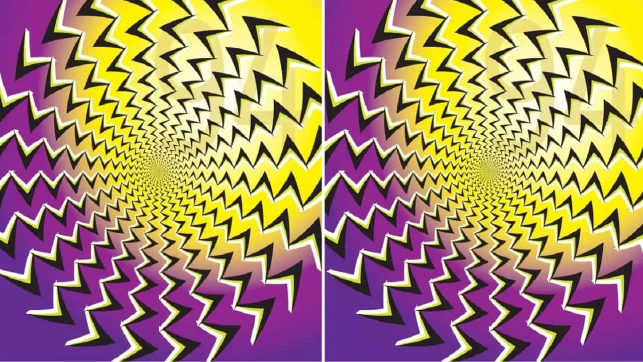 Optical Illusion: এই ছবিতে লুকিয়ে রয়েছে দুটি নম্বর! 10 সেকেন্ডের মধ্যে খুঁজে বের করতে পারবেন?