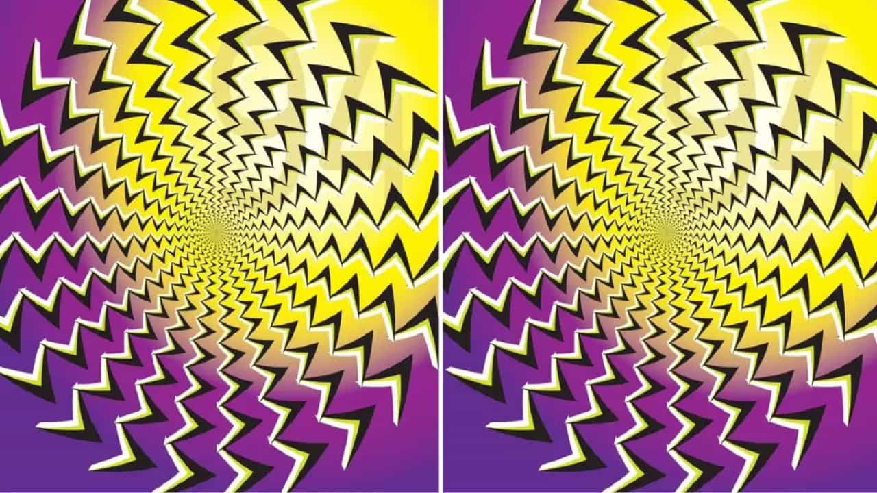 Optical Illusion: এই ছবিতে লুকিয়ে রয়েছে দুটি নম্বর! 10 সেকেন্ডের মধ্যে খুঁজে বের করতে পারবেন? Optical Illusion: এই ছবিতে লুকিয়ে রয়েছে দুটি নম্বর! 10 সেকেন্ডের মধ্যে খুঁজে বের করতে পারবেন?
