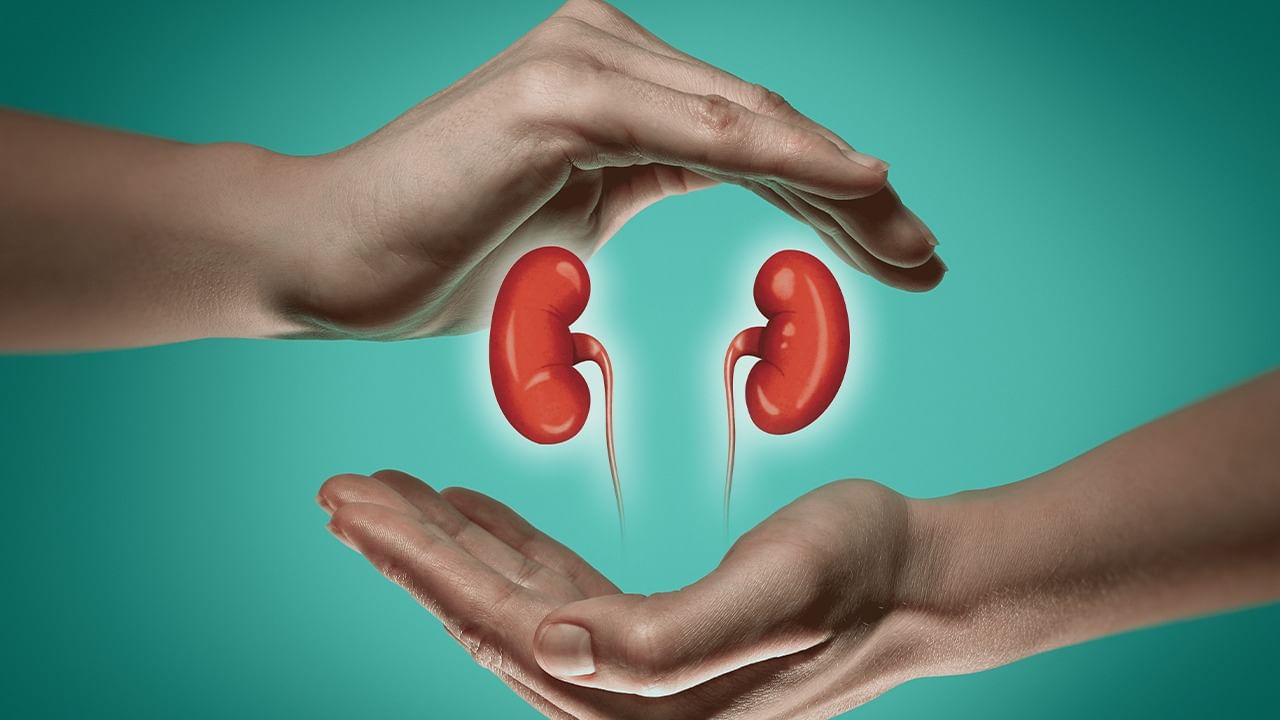 Kidney Trafficking in Pakistan: ১ কোটিতে কিডনি বিক্রি