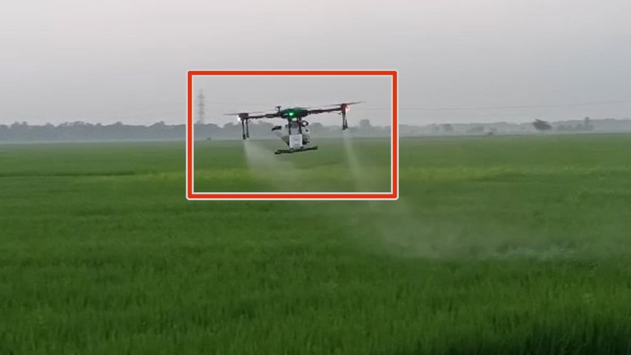 Pandua News: সাপের কামড় থেকে বাঁচতে নয়া প্রযুক্তি Pandua News: সাপের কামড় থেকে বাঁচতে নয়া প্রযুক্তি