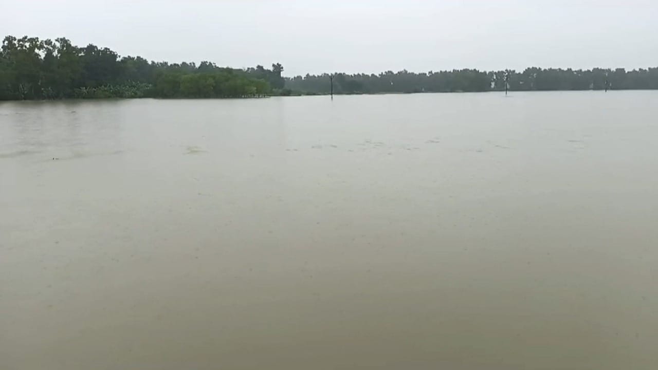 Purba Medinipur Flood News: ১৪ হাজারে হেক্টরের বেশি চাষজমি জলের তলায়! Purba Medinipur Flood News: ১৪ হাজারে হেক্টরের বেশি চাষজমি জলের তলায়!