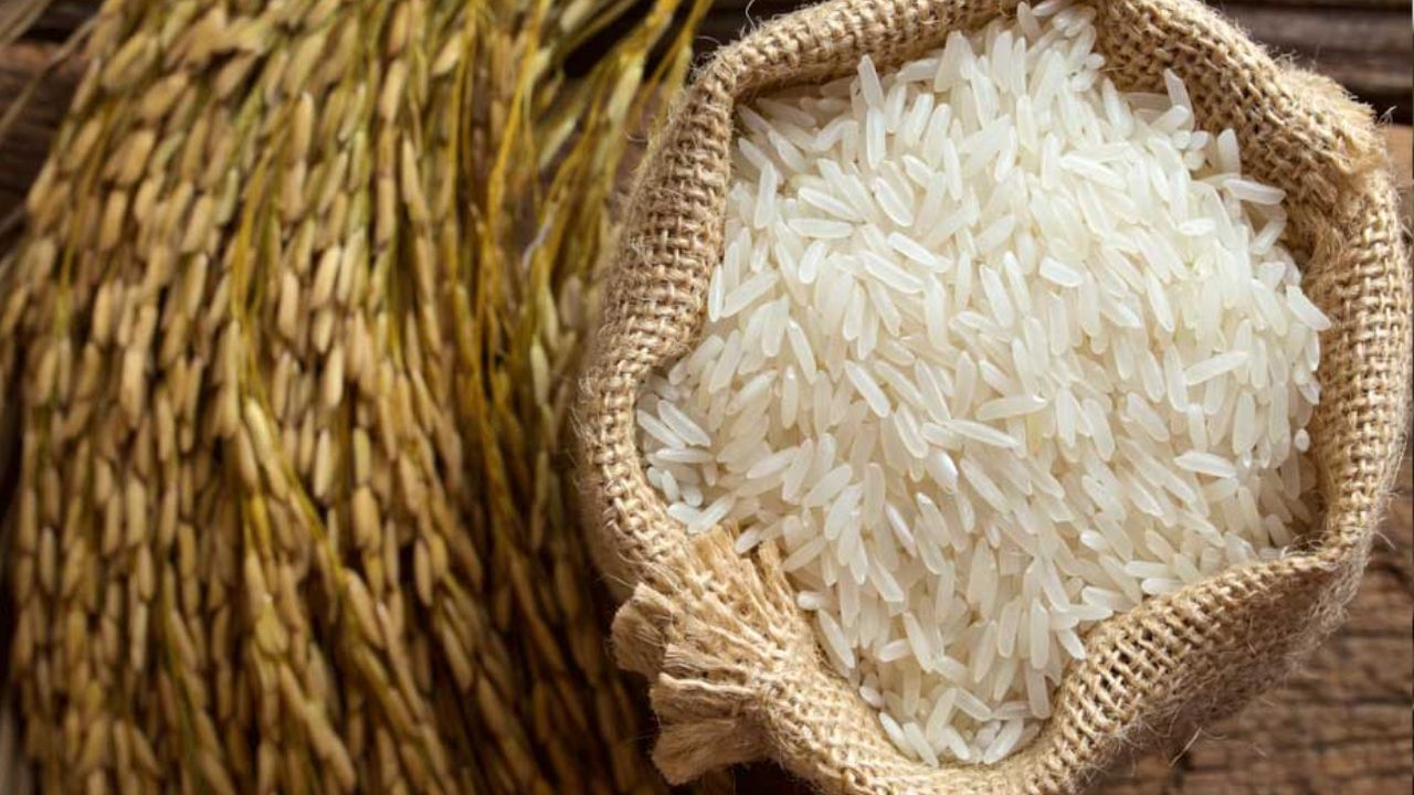 Basmati Rice: বাসমতী চাল নিয়ে বড় সিদ্ধান্ত সরকারের, সরাসরি উপকার পাবেন কৃষকেরা