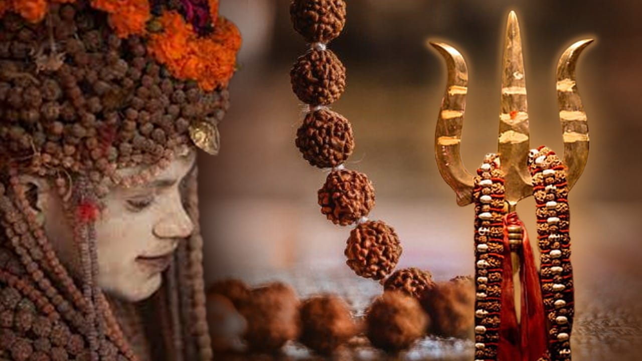 Kodo Raksha Rules of Rudraksha: ইচ্ছেমতো রুদ্রাক্ষ নয়, ধারণ করার সময় এতটুকু ভুল ...