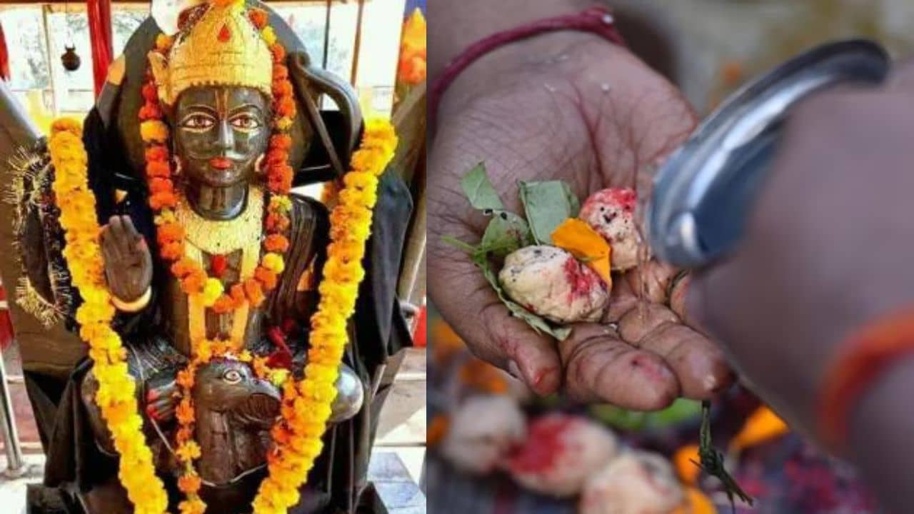 Pitru Amavasya 2023: মহালয়ায় সূর্যগ্রহণের ছায়া, রয়েছে শনির প্রভাবও! ভুলেও কোন করবেন না?