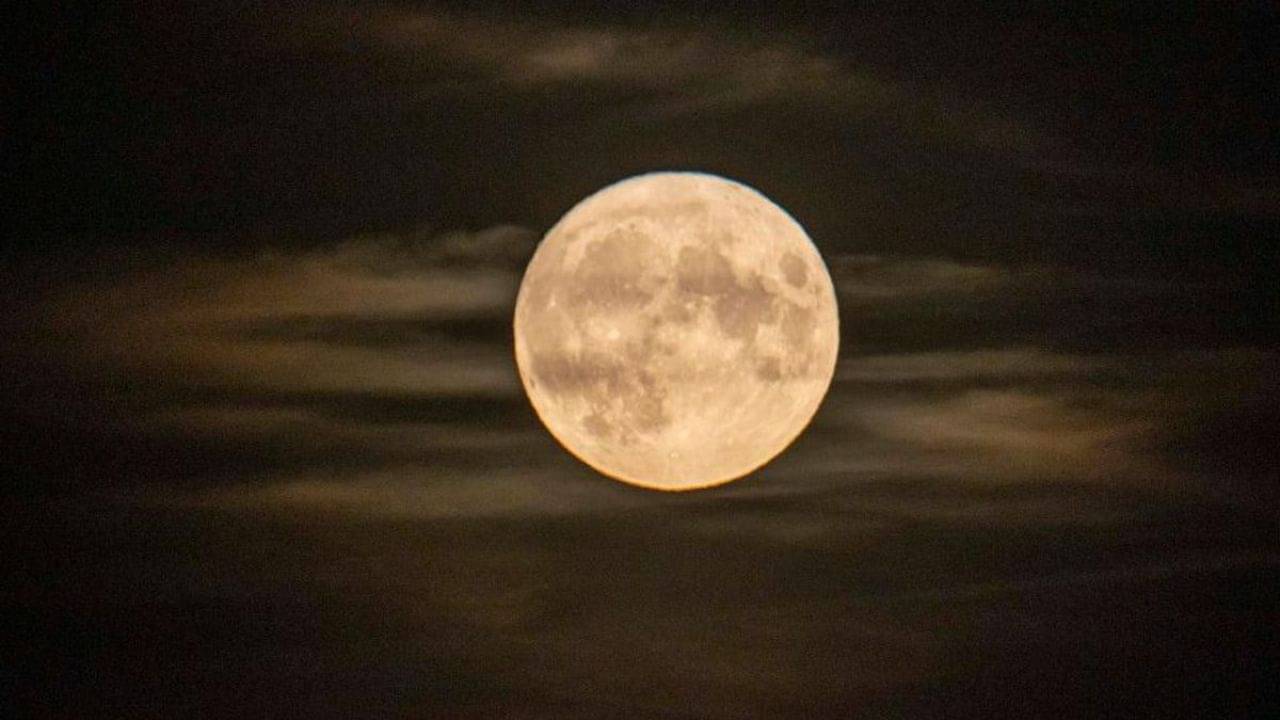 Sharad Purnima 2023: সারারাত চাঁদের নীচে এই জিনিস রাখলেই হবে অমৃত, শারদ পূর্ণিমা কবে?