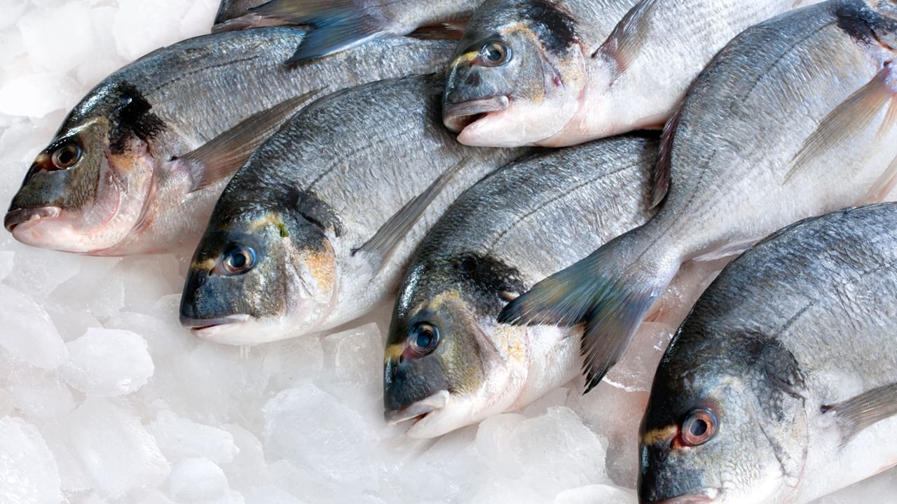 Frozen Fish Side Effects: বরফেই বিপদ