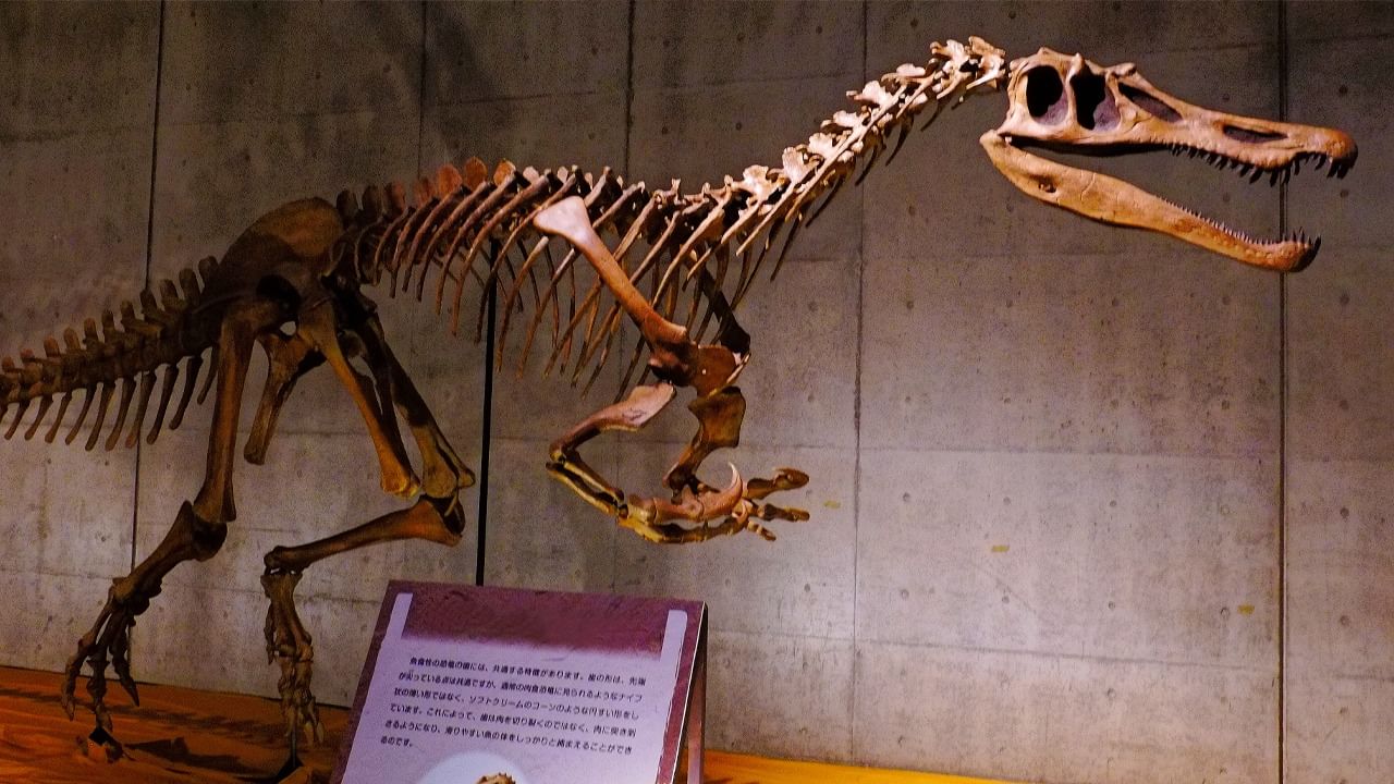 Dinosaurs found in Spain: স্পেনে মিলল বিশাল ডাইনোসর