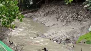 Bankura Rain Update: কাঁচা বাড়ির ওপর ভেঙে পড়ল মোটা ডাল!