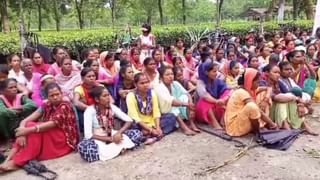 Crocodiles Talsari: তালসারির সৈকতে ঘুরে বেড়াচ্ছে কুমির! সাবধান