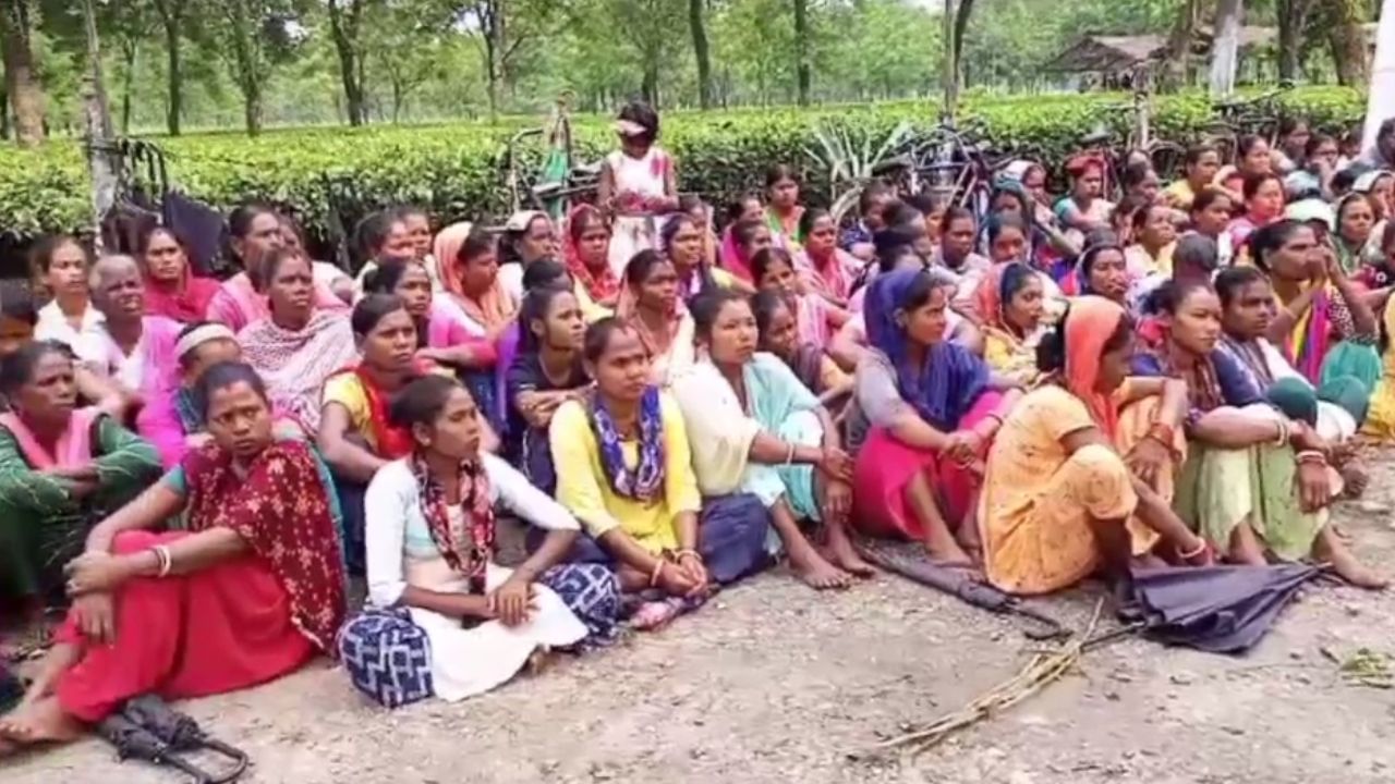 Dooars Tea Garden: পুজোর এক সপ্তাহ আগে বন্ধ চা বাগান, কর্মহীন ৩০০০ হাজার শ্রমিক