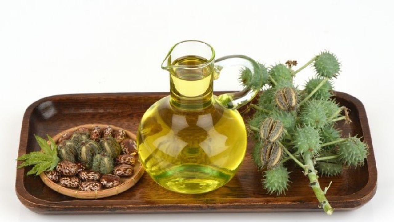 একইভাবে ব্যবহার করতে পারেন টি ট্রি অয়েলও। এতেও ভাল কাজ হলে। একটি তুলোর বলের মধ্যে এই বিশেষ তেল নিয়ে আঁচিলযুক্ত স্থানে লাগিয়ে নিন। দিনে দু'বার লাগালেই হবে।