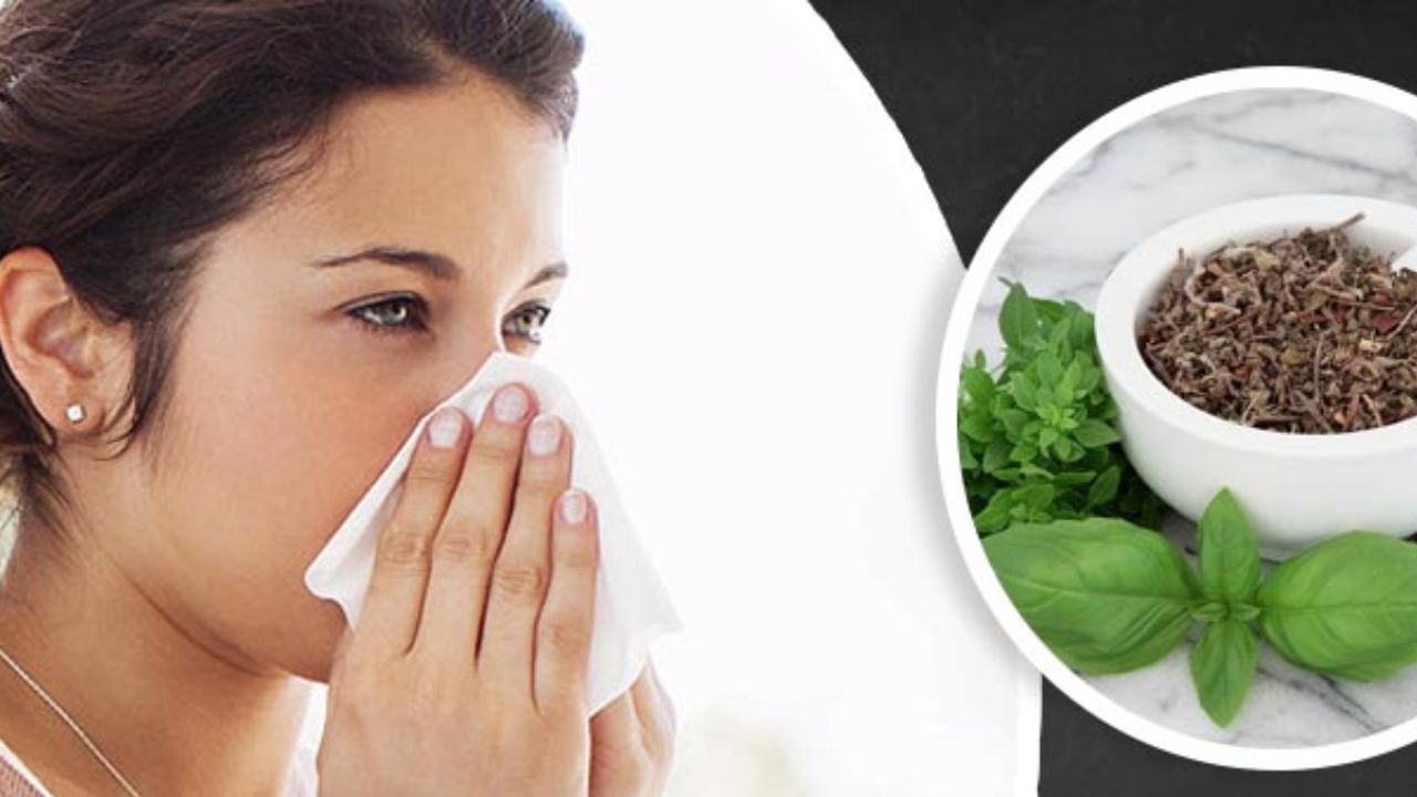 Viral Infection: বর্ষায় বেড়েছে ভাইরাল সংক্রমণ, বাঁচতে ভরসা হোক এসব ভেষজ Viral Infection: বর্ষায় বেড়েছে ভাইরাল সংক্রমণ, বাঁচতে ভরসা হোক এসব ভেষজ