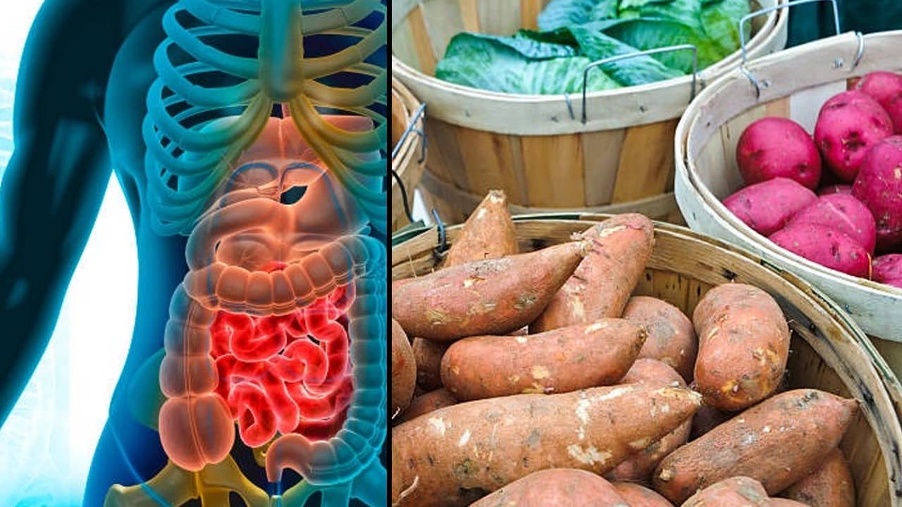 Diet For Winter: শীতের দিনে সুস্থ থাকতে এই ৪ সবজি নিয়মিত খাওয়ার নিদান আয়ুষ মন্ত্রকের, আপনিও মেনে চলুন