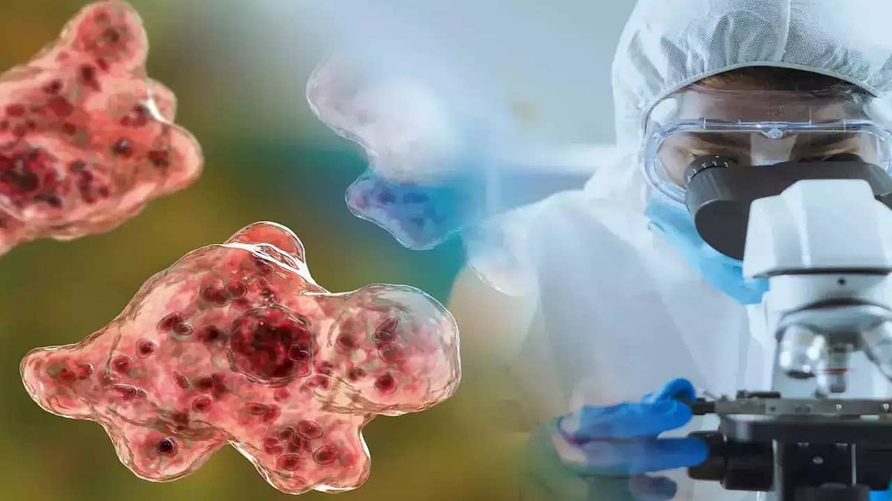 Zombie Virus: 50 হাজার পর ঘুম ভাঙছে Zombie ভাইরাসের, করোনার পর আর এক অতিমারির আশঙ্কা?