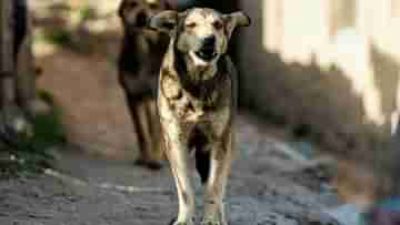 Dog Barking: পাশের বাড়ির কুকুর চেঁচাচ্ছে, গোপনাঙ্গে রড ঢুকিয়ে শাস্তি দিল বাবা-ছেলে