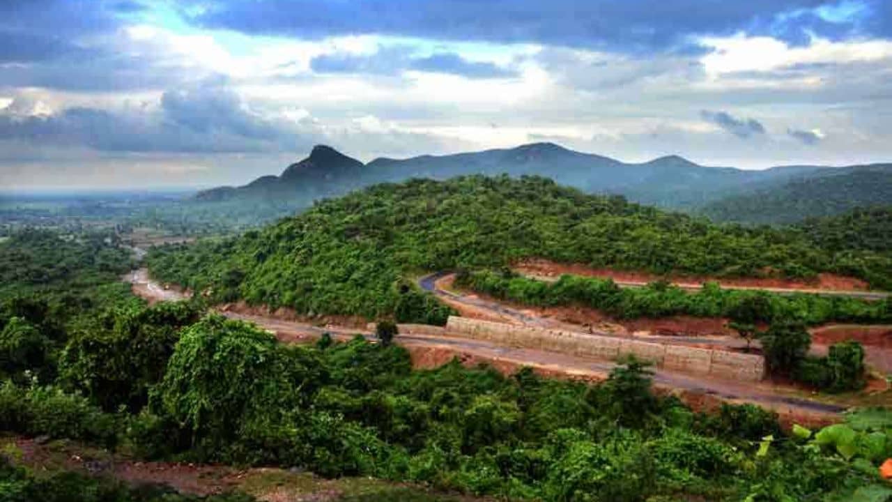 Duarsini: পুজোয় উত্তরবঙ্গ যাবেন কিনা বুঝতে পারছেন না? ৪ দিনের জন্য দুয়ারসিনি থেকে ঘুরে আসুন