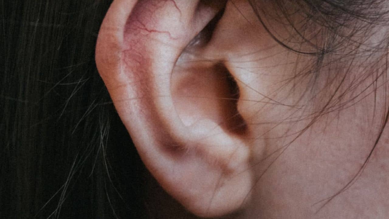 VIDEO: কানের ভিতর হাঁটছিল আস্ত মাকড়সা, কী হল এরপর!