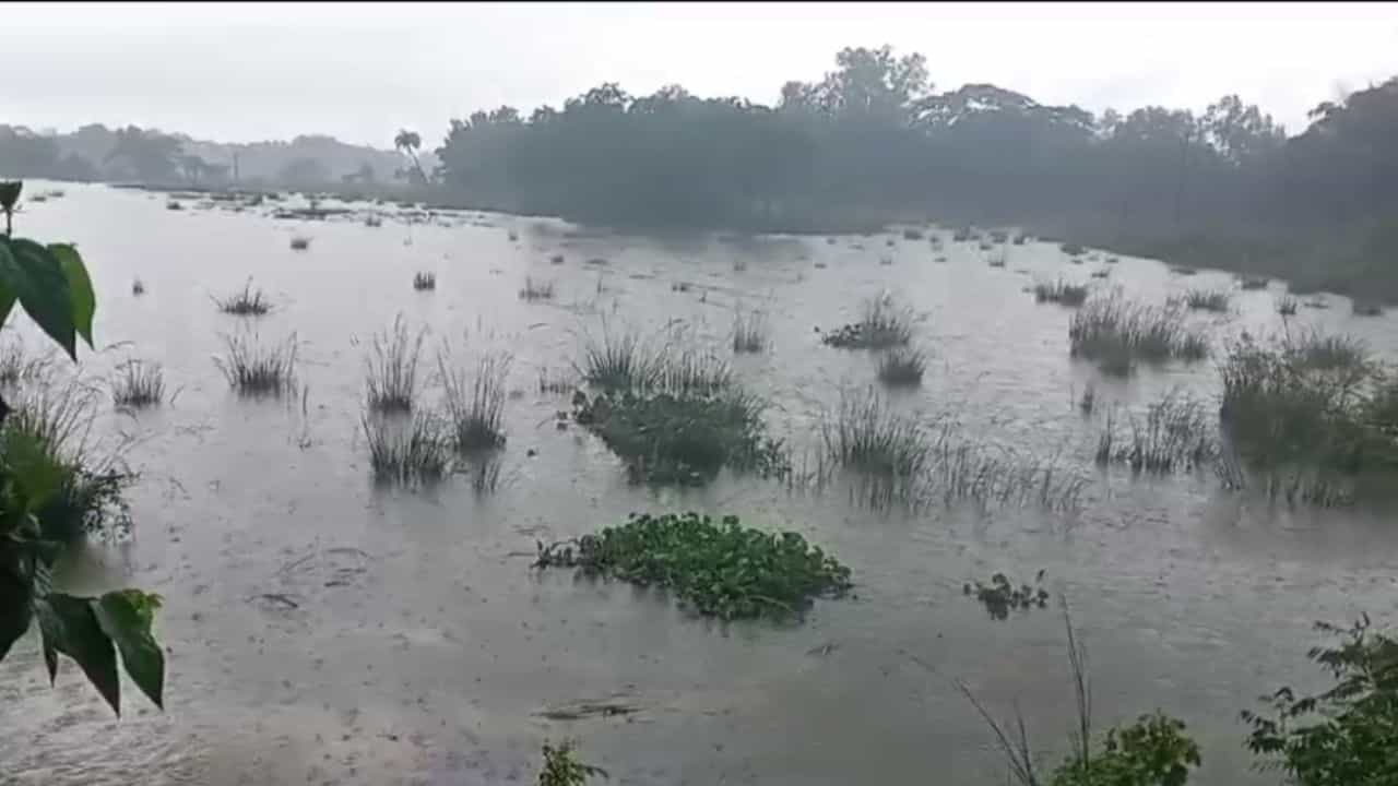 Flood Situation: ভাঙল সেতু, নষ্ট চাষের জমি, ক্রমেই যেন ভয়াল রূপ নিচ্ছে কেলেঘাই Flood Situation: ভাঙল সেতু, নষ্ট চাষের জমি, ক্রমেই যেন ভয়াল রূপ নিচ্ছে কেলেঘাই