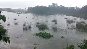 ভাঙল সেতু, নষ্ট চাষের জমি, ক্রমেই যেন ভয়াল রূপ নিচ্ছে কেলেঘাই ভাঙল সেতু, নষ্ট চাষের জমি, ক্রমেই যেন ভয়াল রূপ নিচ্ছে কেলেঘাই