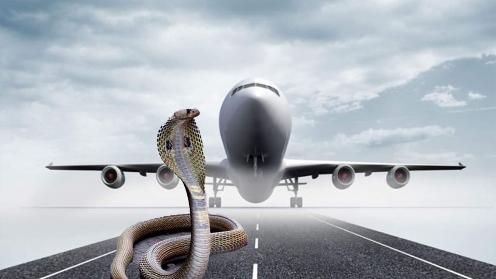 Travelling in a Airplane বাপ রে! বিমানে এসব! Bengali News Know