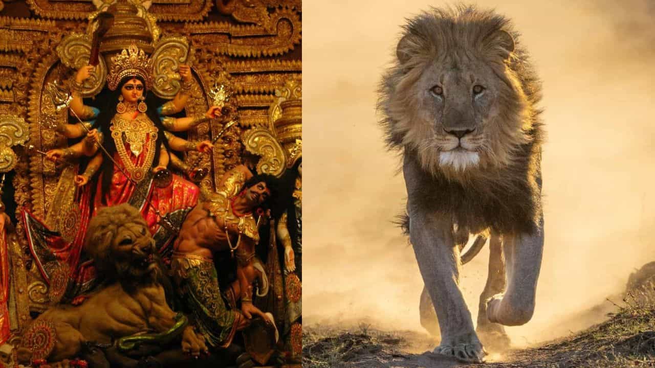 Durga Puja 2023: সিংহ-ই কেন দেবীর বাহন? শাস্ত্র ও পুরাণেও রয়েছে অলৌকিক তথ্য
