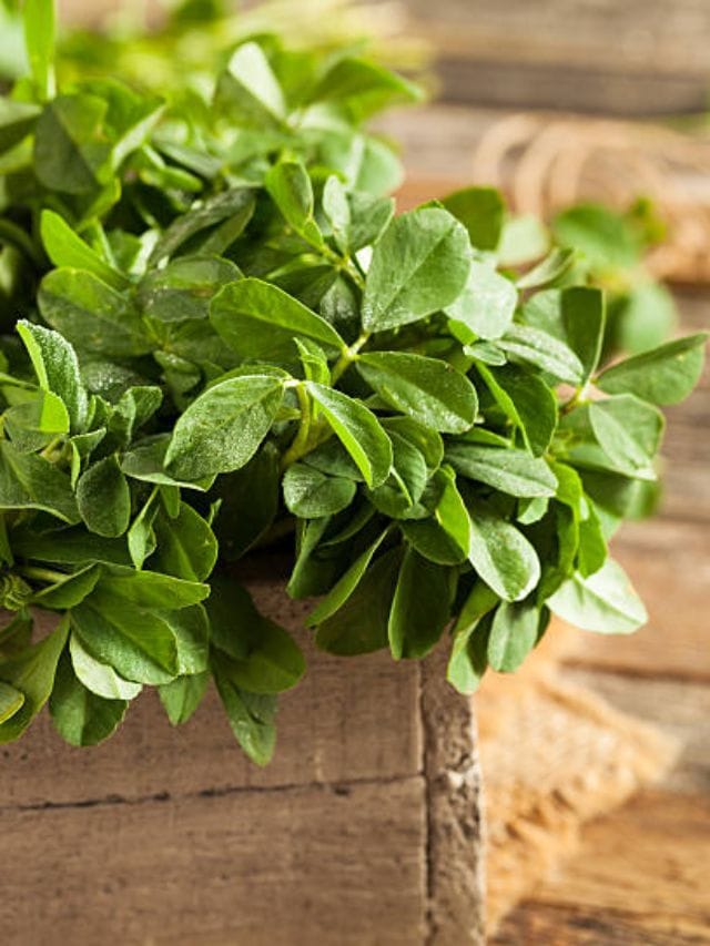 মেথি শাকের তেতো ভাব দূর করুন ১ মিনিটে TV9Bangla Easy Tips To Remove