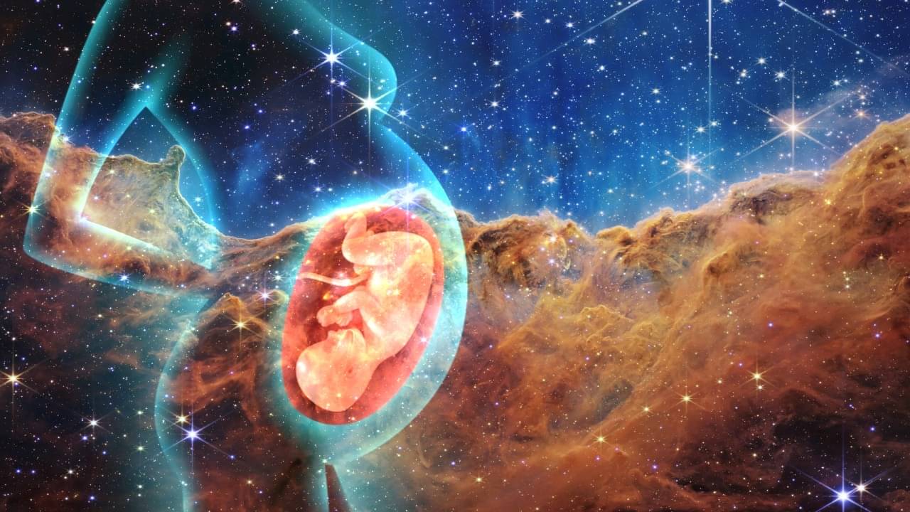 Mouse embryos in space: পৃথিবীর বাইরে গর্ভবতী হতে পারে মানুষ? সফল প্রথম ধাপের পরীক্ষা