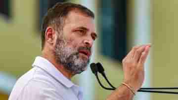 Rahul Gandhi: প্রাথমিক থেকে উচ্চশিক্ষা-পুরোটাই ফ্রি, বড় প্রতিশ্রুতি রাহুলের