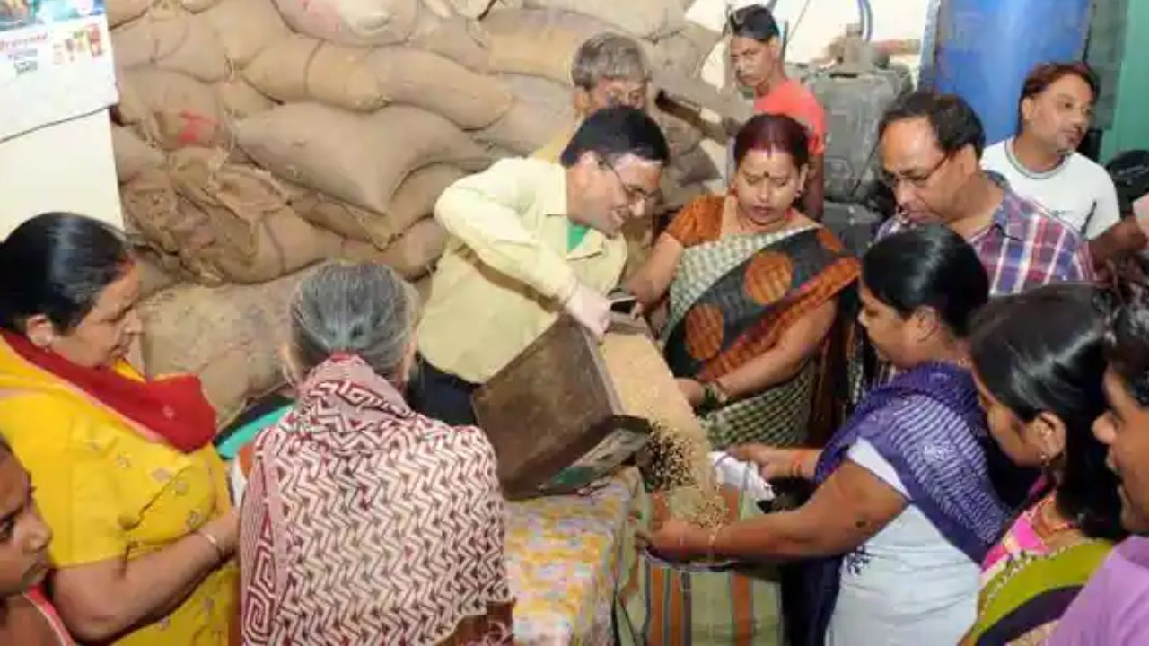 Dhupguri: পোকা ভর্তি আতপ চাল! শোরগোল ধূপগুড়িতে