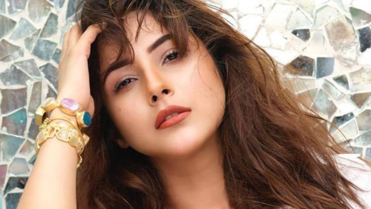 Shehnaaz Gill: আমাকে পড়ো ভাল করে, পরিচালকদের উদ্দেশ্যে এমন বার্তাই দিলেন শেহনাজ় গিল