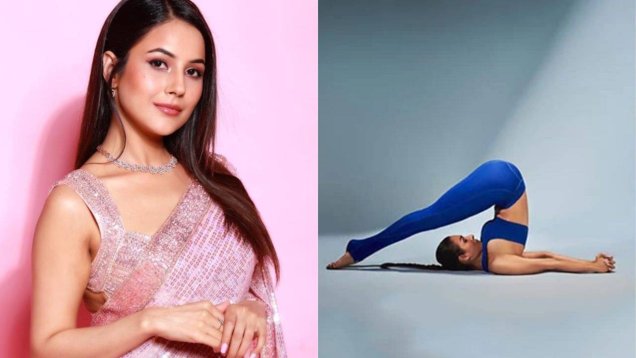 Shehnaaz Gill: হলাসন করতে গিয়ে চোট পেলেন শেহনাজ় গিল, এমনটা হতে পারে আপনার সঙ্গেও
