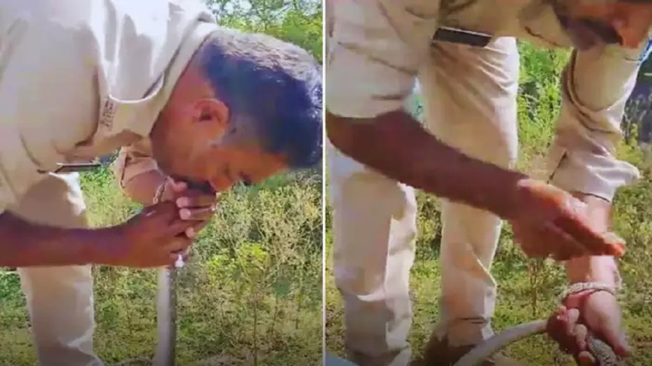 Viral Video: অচৈতন্য সাপকে CPR দিয়ে প্রাণ বাঁচালেন পুলিশকর্মী, স্যালুট জানালেন নেটিজ়েনরা