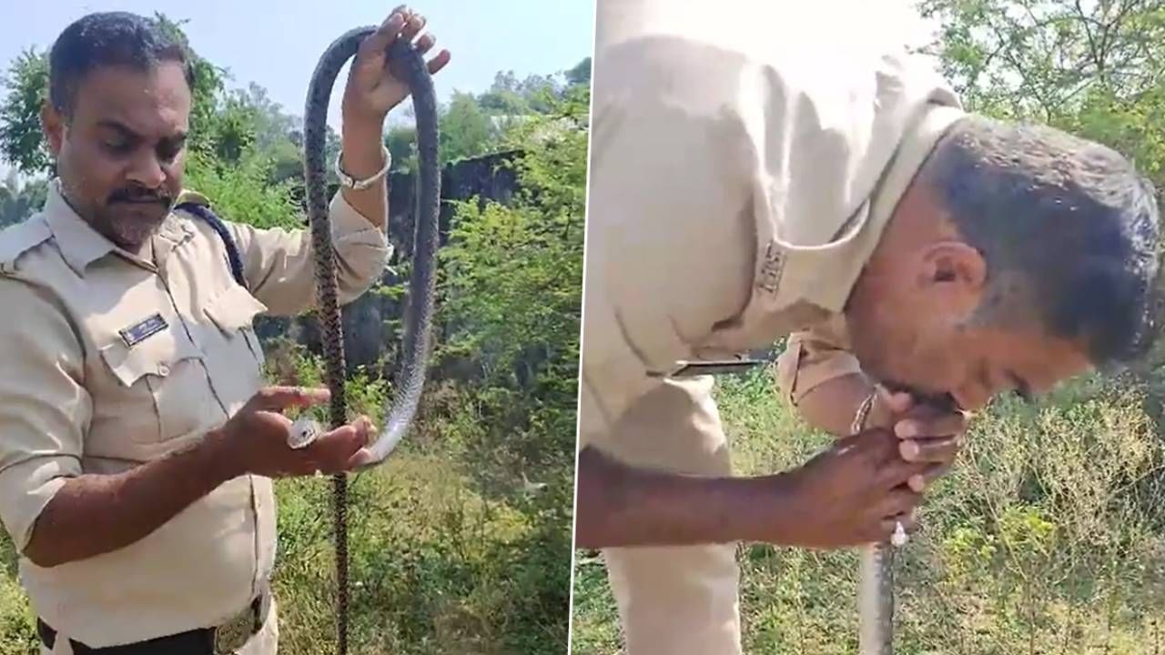 ‘কিস অব লাইফ’, সাপের প্রাণ বাঁচিয়ে হিরো পুলিশ কনস্টেবল